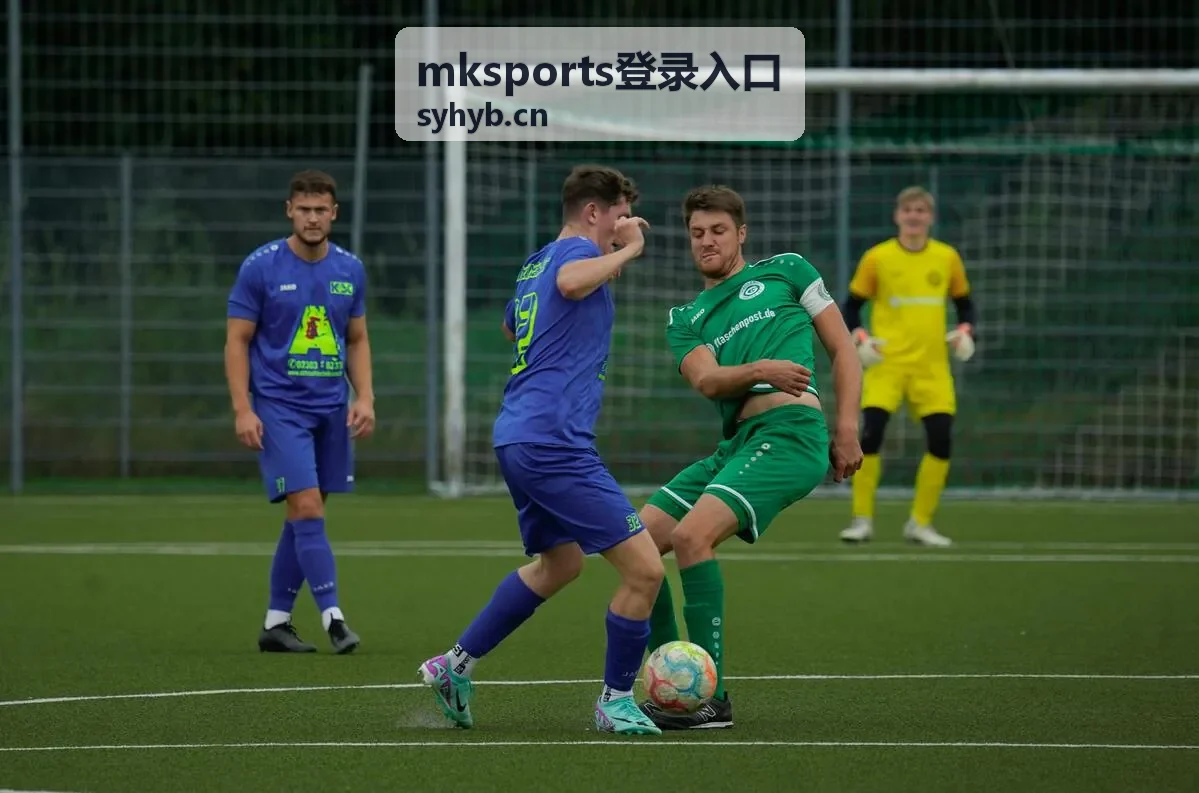 mksports登录入口账号异常排查操作示意
